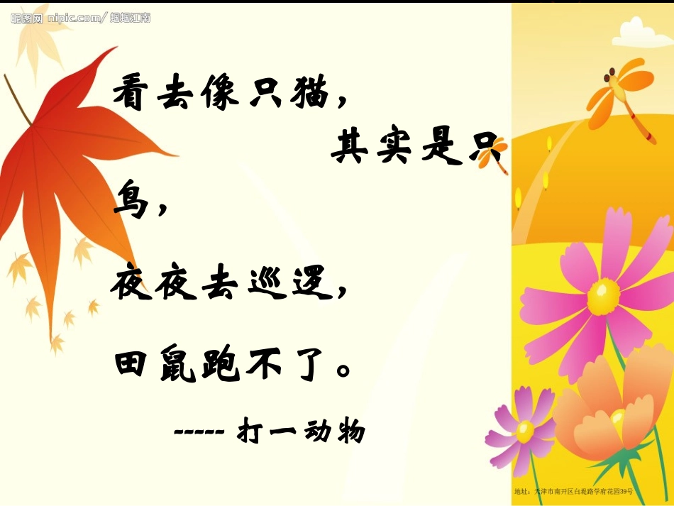 跑进家来的松鼠课件 (2)_第2页