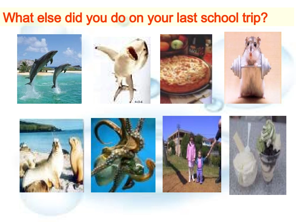 八年级英语Howyourschooltrip课件2原件_第3页