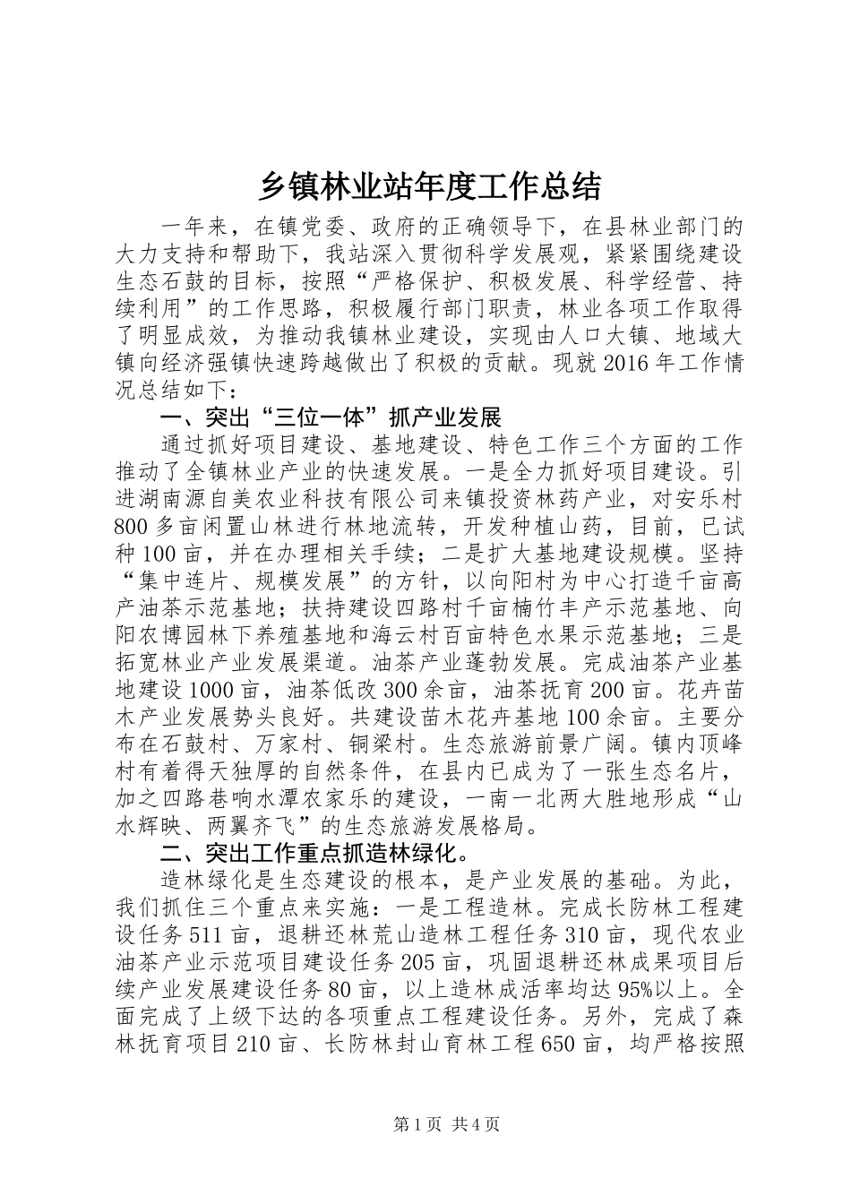 乡镇林业站年度工作总结 (2)_第1页