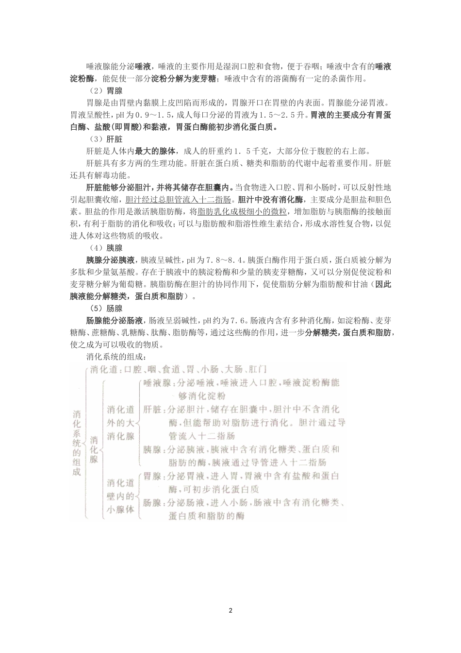 消化系统的组成和功能_第2页