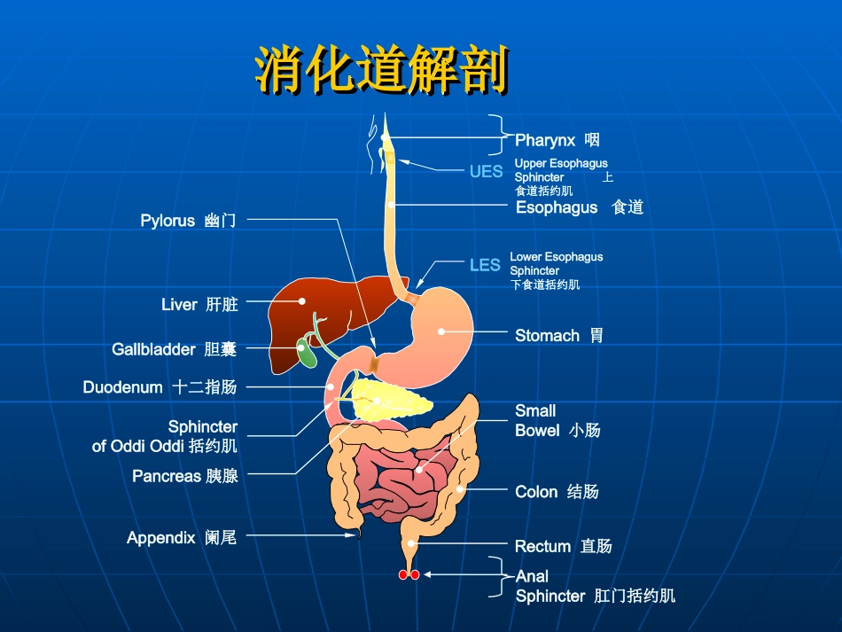 消化系统常用药鲁临-文档资料_第1页