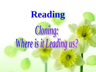 高中英语Unit2《Cloning》课件-Reading新人教版选修8