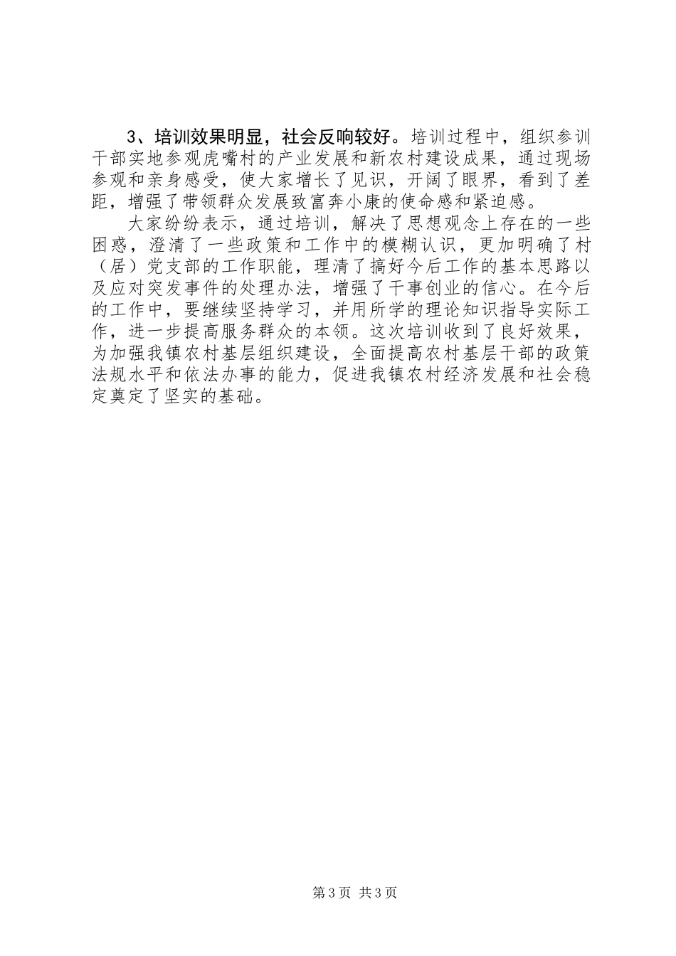 乡镇村支书记培训年终工作总结_第3页