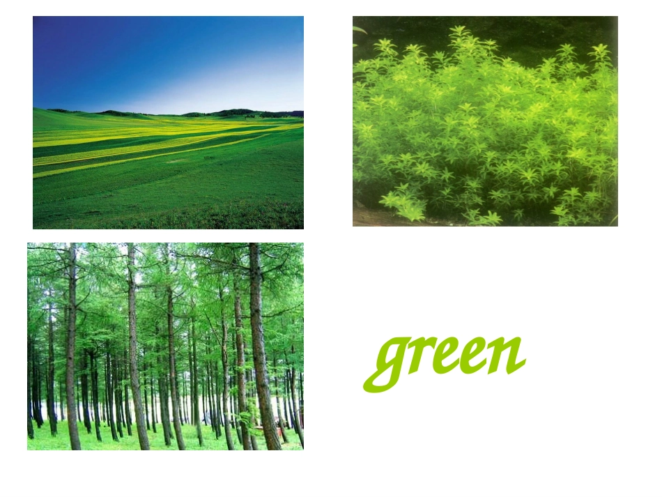 小学颜色教学课件_第3页