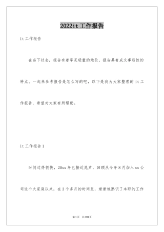 2024it工作报告