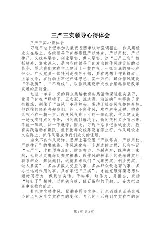 三严三实领导心得体会 