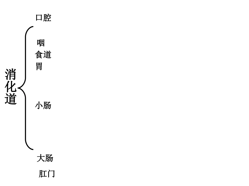 食物的消化和吸收_第3页