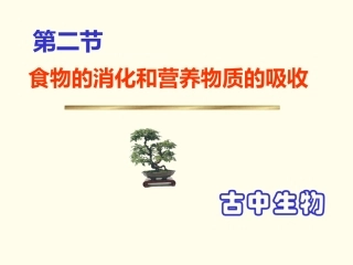 食物的消化和吸收