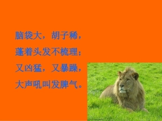 两只小狮子2