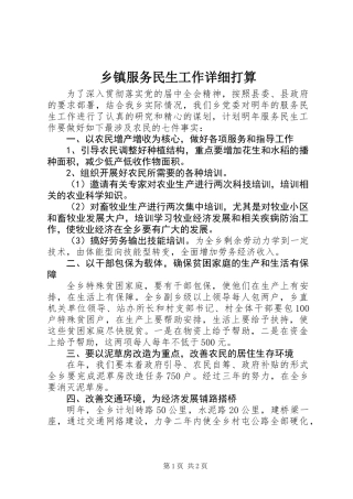 乡镇服务民生工作详细打算