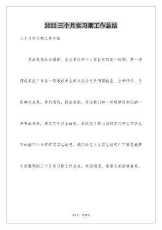 2024三个月实习期工作总结
