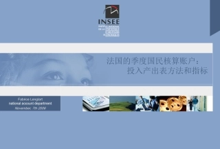 法国的季度国民核算账户： 投入产出表方法和指标