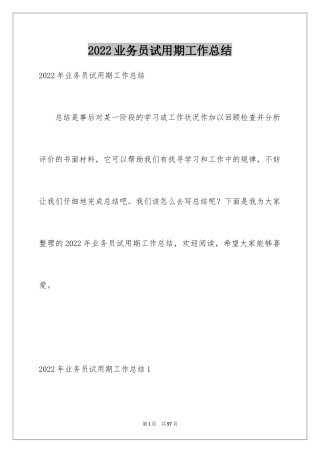 2024业务员试用期工作总结_6