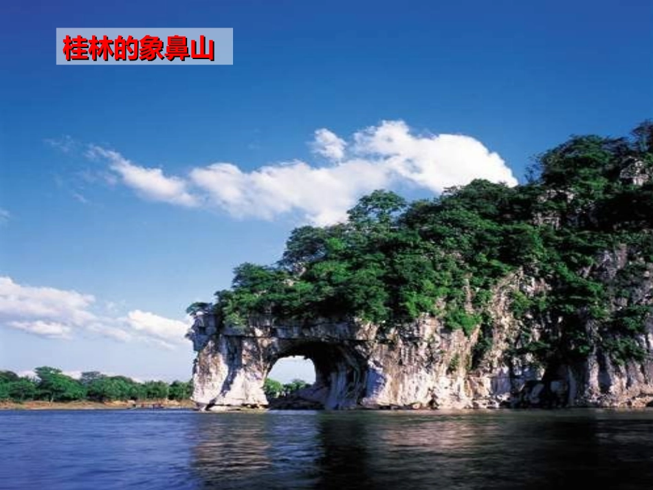 土壤中有些什么修改稿_第2页