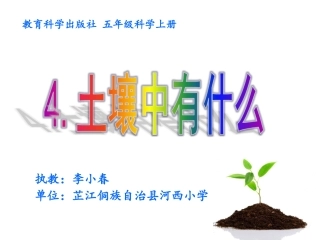 土壤中有些什么修改稿