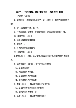 武术操评分标准