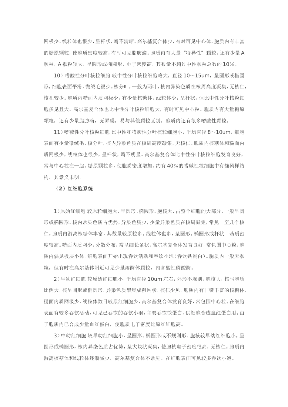 正常血细胞超微结构_第3页