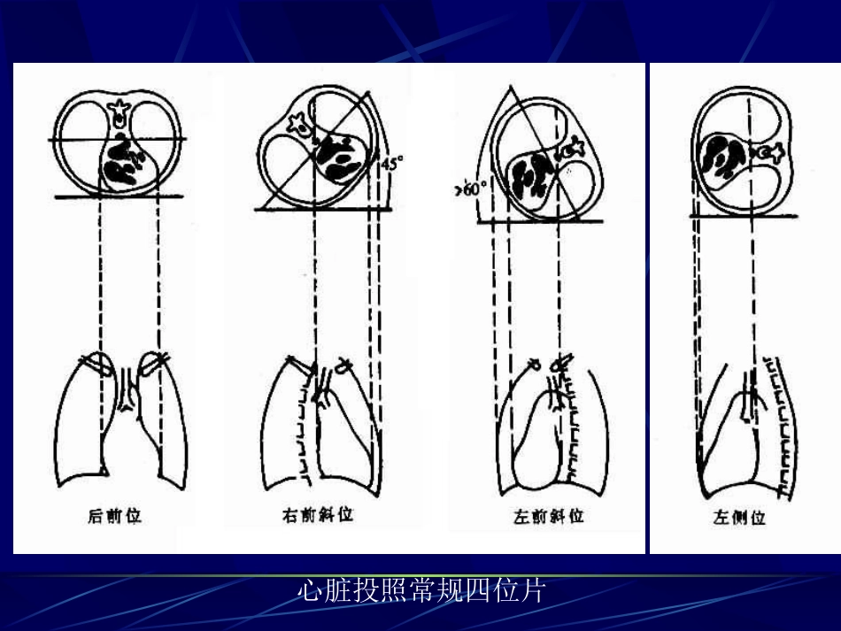 正常表现与基本病变_第2页