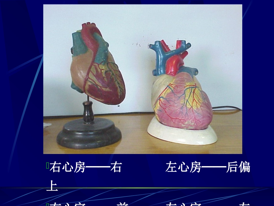 正常表现与基本病变_第3页