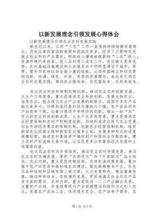 以新发展理念引领发展心得体会 