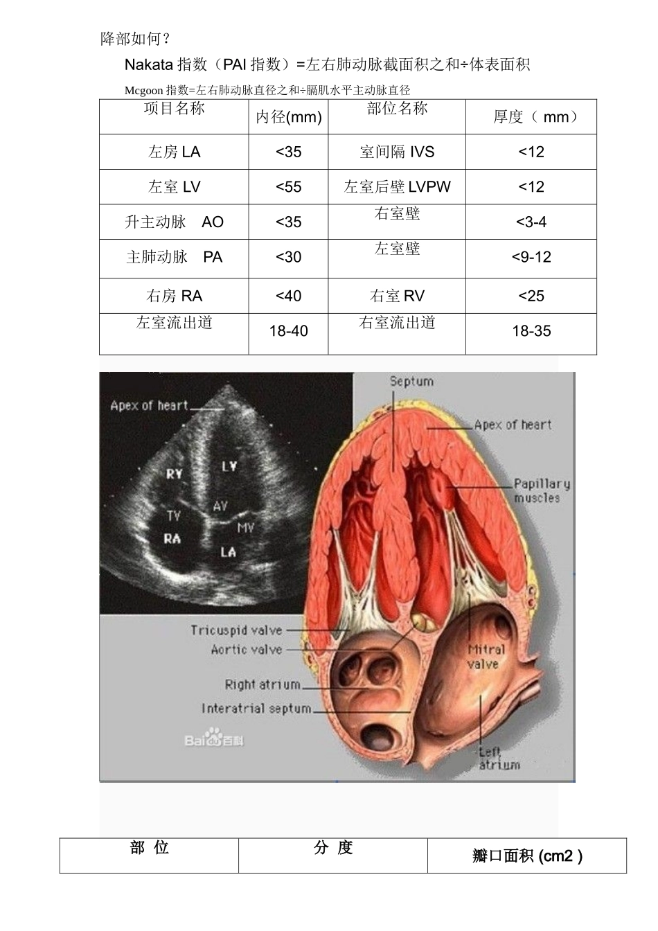 正常心脏彩超参考值_第2页