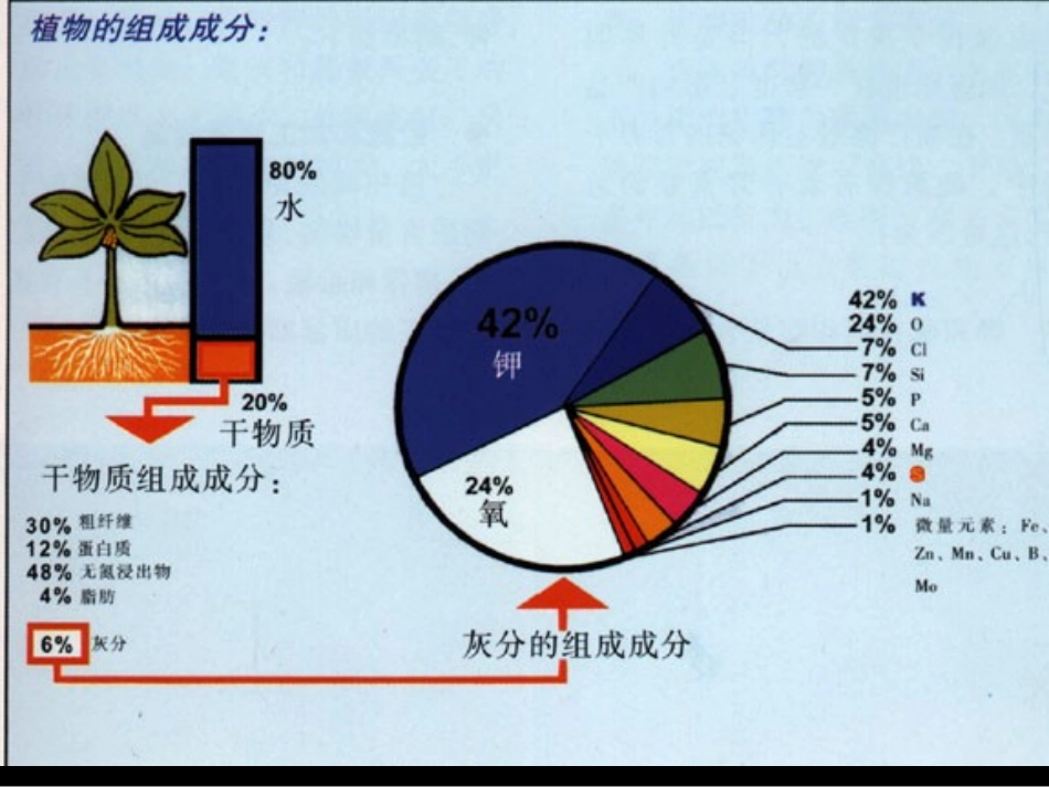 植物营养的基础理论(精)_第3页