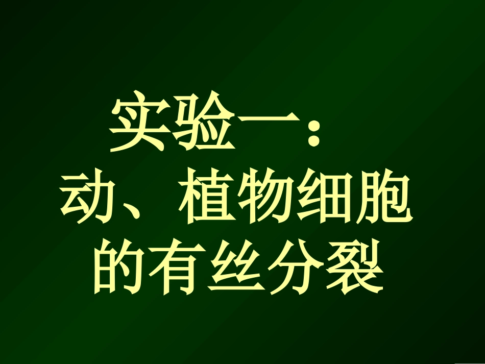 植物细胞的有丝分裂_第1页