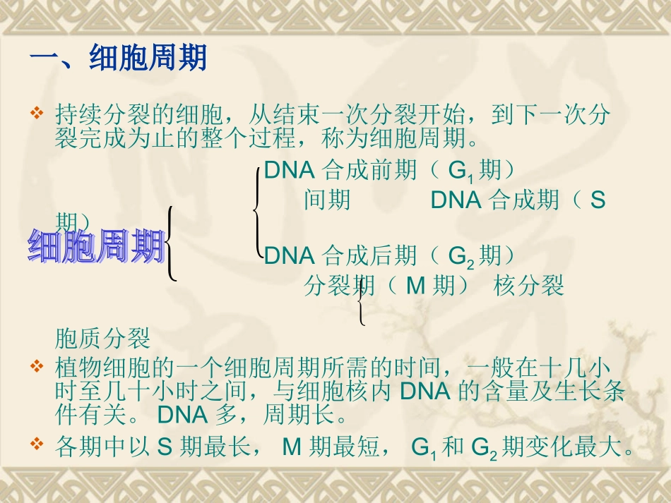 植物细胞的分裂概述_第2页