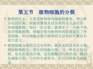 植物细胞的分裂概述