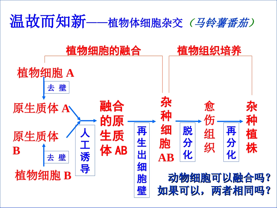 植物组织培养和动物细胞培养的比较.._第2页