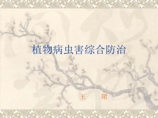 植物病虫害防治