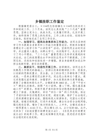 乡镇挂职工作鉴定