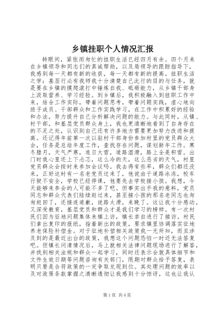 乡镇挂职个人情况汇报