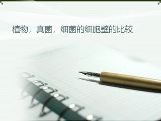 植物-细菌-真菌细胞壁的比较