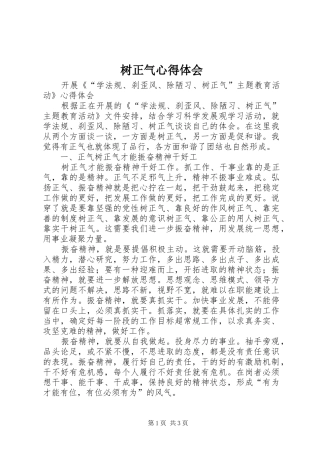 树正气心得体会 