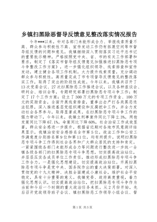 乡镇扫黑除恶督导反馈意见整改落实情况报告