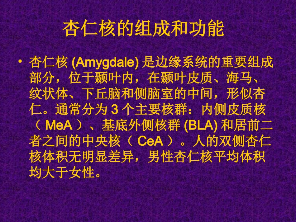 杏仁核与PTSD发病机制的相关性_第3页