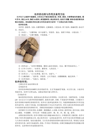 杜仲的功效与作用及食用方法