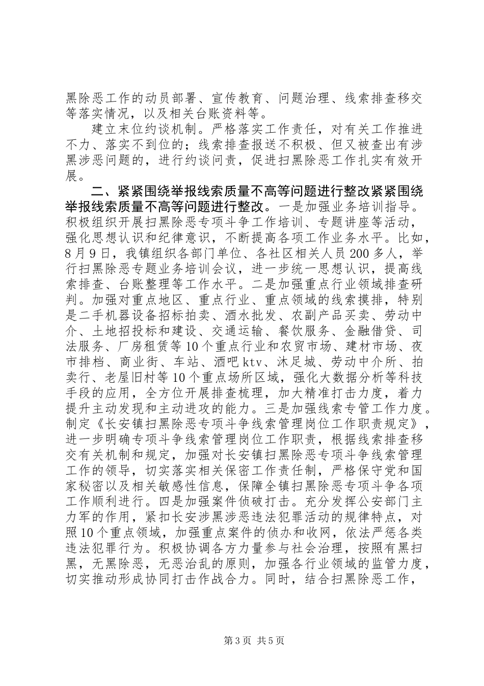 乡镇扫黑除恶督导反馈意见整改落实情况报告 (3)_第3页