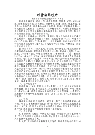 杜仲栽培技术