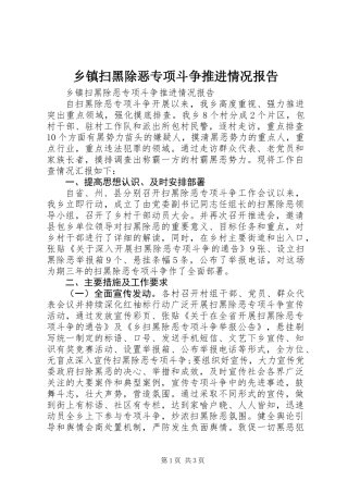 乡镇扫黑除恶专项斗争推进情况报告 (2)
