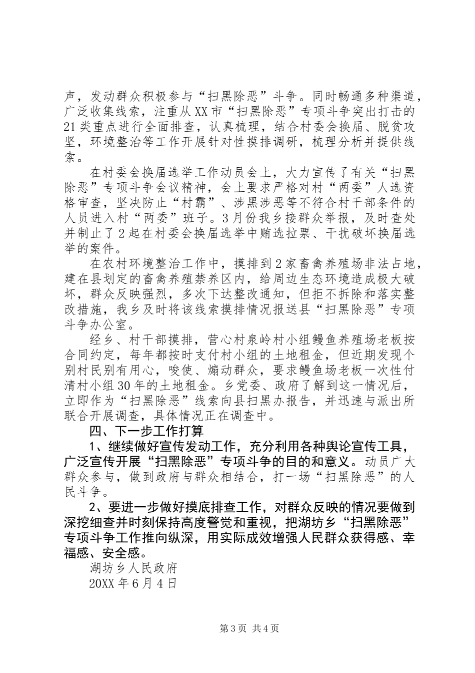 乡镇扫黑除恶专项斗争201X年工作总结_第3页