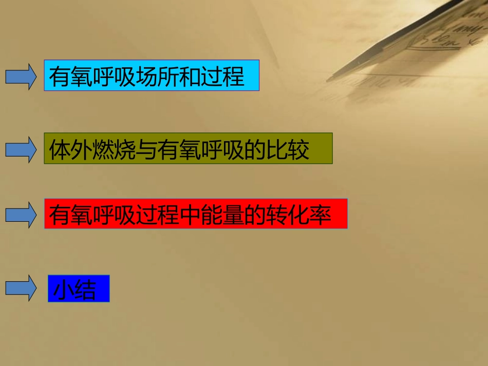 有氧呼吸--ppt_第2页