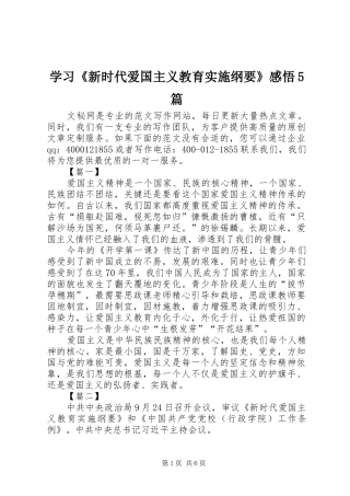学习《新时代爱国主义教育实施纲要》感悟5篇