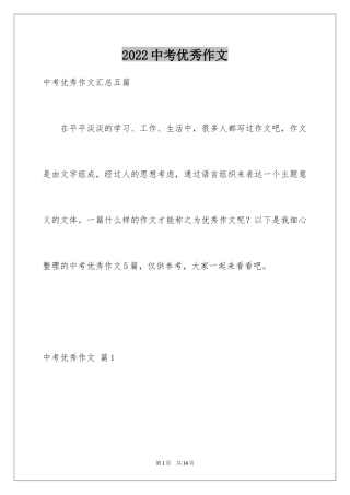 2024中考优秀作文_62