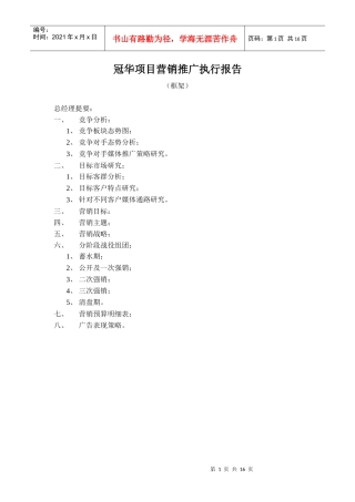 某项目营销推广执行报告