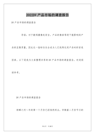 2024DV产品市场的调查报告