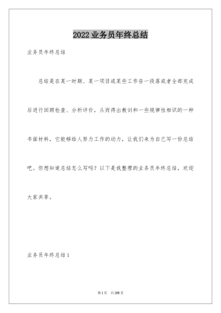 2024业务员年终总结