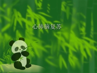 最新心肺脑复苏