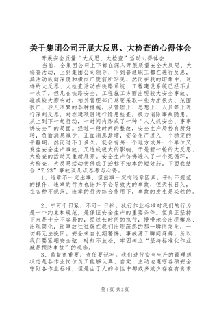 关于集团公司开展大反思、大检查的心得体会 
